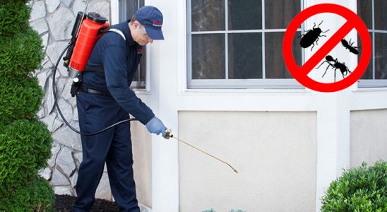 Tekirdağ Gümüşkurt İlaçlama böcek ilaçlama ve haşere kontrolü — ilaclama-tr.com
